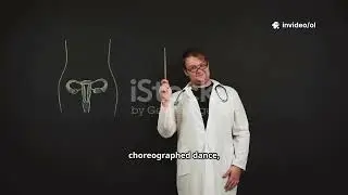 Human Reproduction: The Basics
