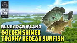 Trophy Redear Sunfish, Golden Shiner Blue Crab Island - Fishing Planet