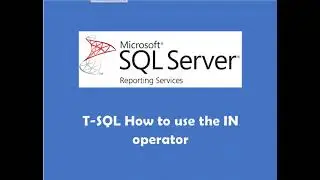 TSQL How to use an IN operator