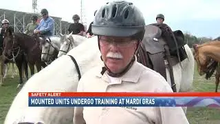 Mobile Mardi Gras mounted police training - NBC 15 News WPMI