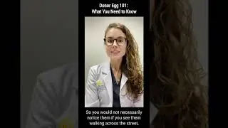 Donor Egg 101: What You Need To Know