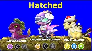 Hatched 2nd Chrono change, 3rd Medusa and Bundt Dragons  15 Enchant Arena Win Streak  DML