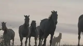 The Legend of Dead Horse Point