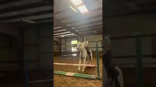 Raw cuz it was kinda funny 😆 | #horse #fail #rosie #relatable #equestrian #equestrianlife #fyp