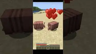 How to Breed Armadillos in Minecraft! 🦔💚 (Easy Guide #Shorts)
