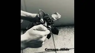 Carnage - Hilde
