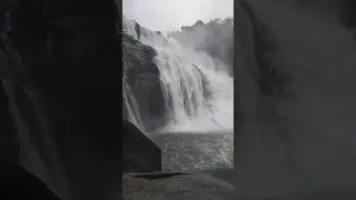 Hundru Fall Ranchi|| #youtubeshorts #yt #ytshorts #reels #shorts
