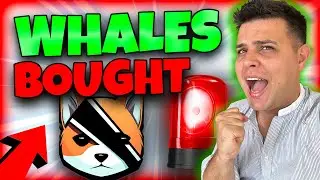 BYTE Crypto Byte Token Review ✅ BIG UPDATE ON WHALE ACTION