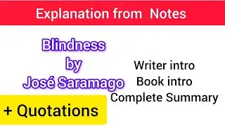 Blindness by Jos&eacute; Saramago, detailed summary explanation from notes