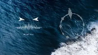Hypp fractal - Regret [No Copyright LisT Music]