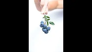 Cfare shakakton mungesa e Jodit ne organizem, Zbuloni produktet ku gjendet!