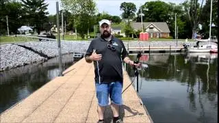 How to Aim to Shoot Fish with your Bow