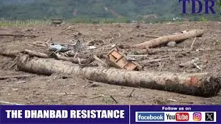 Indonesia floods: Over 600 dead, hundreds missing