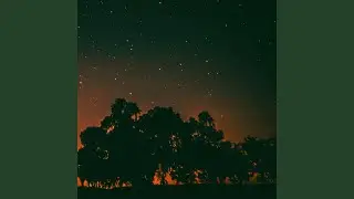 Tender Nights