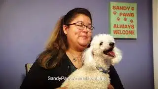 testimonialb jax 075667 sandypaws 1