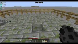 (bug) Como quebrar blocos em region dos outros - Craftlandia