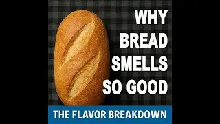 Why Does Bread Smell So Good