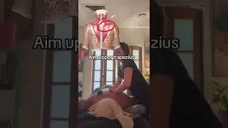 Remedial massage for upper trapezius #massage #massagetherapy