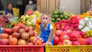 Monkey Cubis excited to experience shopping and go market with Aunt