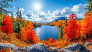 Autumn Leaves 🍁 &mdash; Emotional Piano & Orchestra. (Music Video)