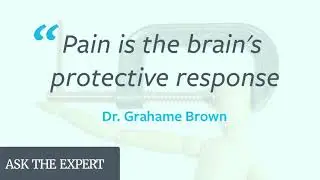 Pain is the brain's protective response - Effective Pain Management By Dr Grahame Brown