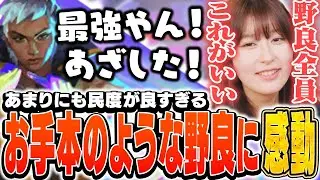 民度が良すぎる最高の野良に感動するaco【VALORANT】
