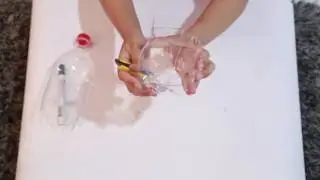 DIY : HOW TO MAKE PLASTIC BOTTLE CAT PLANTER