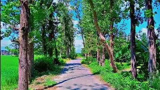🌏 Our Environment | Clean Earth, Green Earth
