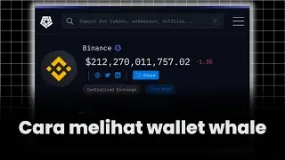 Cara simpel melihat isi wallet orang kaya di crypto