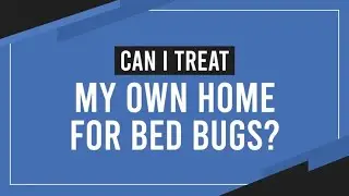 #8 Can I Treat My Own Home For Bed Bugs?