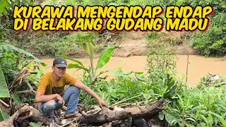 Bang Rio Official sedang live sekarang!
