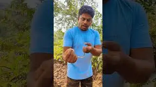 Russell kukri snake rescue #youtube