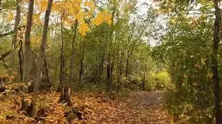 Dundas peak hike