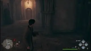 Hogwarts Legacy - Moth Glitch FIX (Slythrin Chamber tutorial)