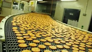 Crazy Food Processing Machine | Biscuit Processing machines
