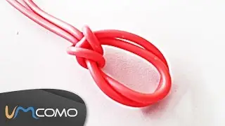 N&oacute;s - N&oacute; Balso pelo Seio