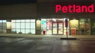 Several animals set loose after suspect allegedly breaks into west Columbus pet store
