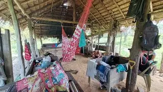 Maria Felipa, Silmaria e Nando roubando MILH&Otilde;ES 🌽🌽🌽🌽🌽