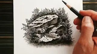 Realistic Rock and bushes Drawing for Beginners.
