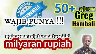 50+ Aglonema Paling Dicari! Warisan Indah Greg Hambali yang Bikin Takjub!