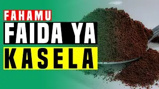 MATUMIZI YA KASELA KUVUTA WATEJA KWENYE BIASHARA NA KUSAFISHA NYOTA