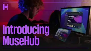 Introducing Muse Hub