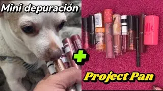Project Pan de Labiales vamos arrasando con lo malo 🙅‍♀️ aquí remontamos|MINI DEPURACIÓN 