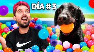 MILES DE PELOTAS EN UNA ALBERCA PARA MI PERRITA | EPISODIO 3 DE 10