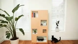 Cat Friendly Modern Furniture - The Cat Case by Cat Matter