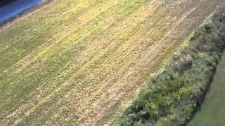 FlyCamOne HD 720p Test #6 / Align T-Rex 600