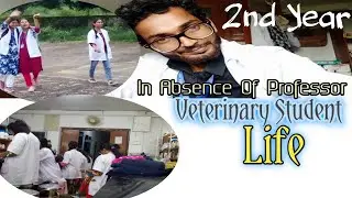 Veterinary Life || veterinary student vlog || veterinary life status || 2nd Year in Bvsc_ah ||rinku