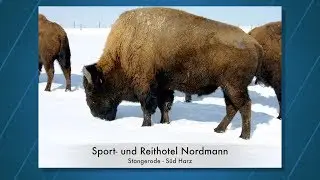 SPORT- UND REITHOTEL NORDMANN IN STANGERODE