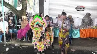 KUDA TUNGGAL TERBARU SINAR BUDAYA LIVE GN BEKEL