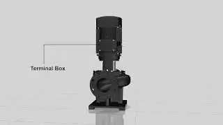 how is the structure of Pipeline pump